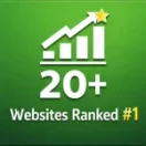 20 website ranked